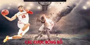 cá cược bóng rổ